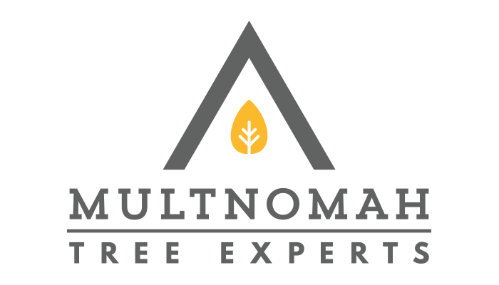 Multnomah Tree Experts Full Color Logo