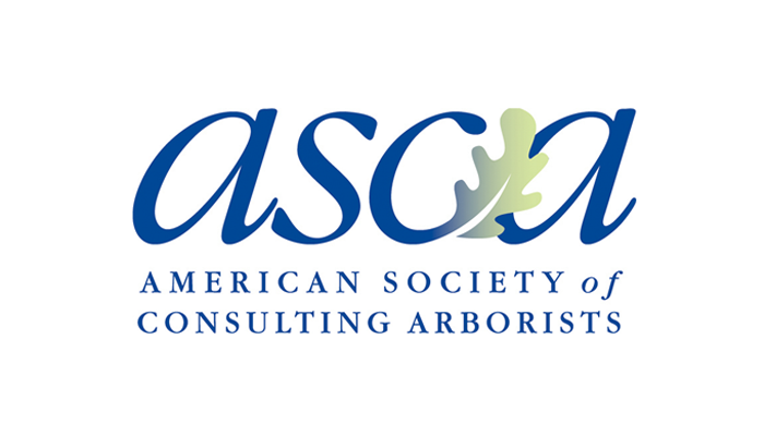 ASCA Logo